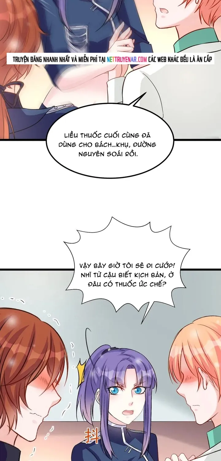 Chapter 113