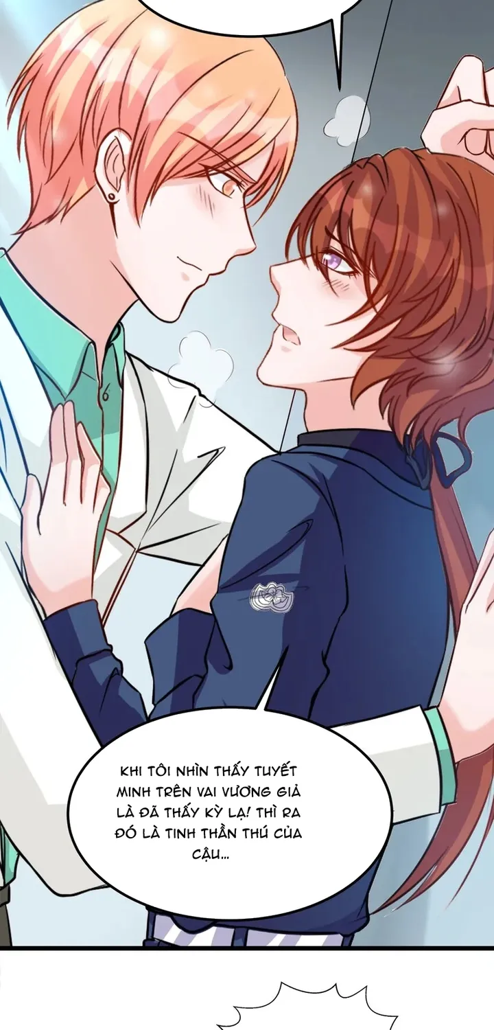Chapter 114