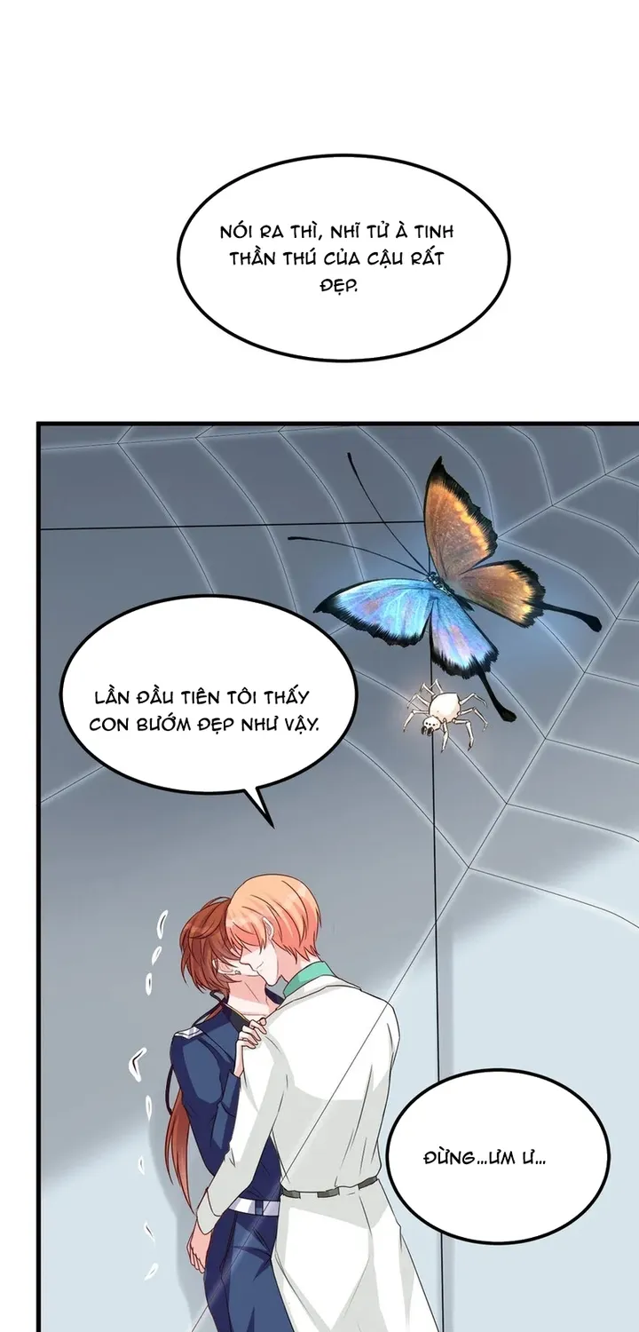 Chapter 114