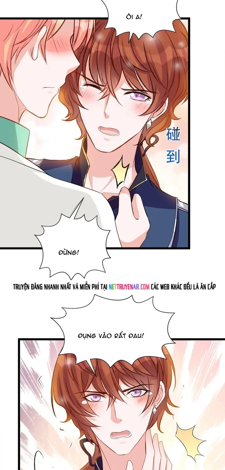 Chapter 114