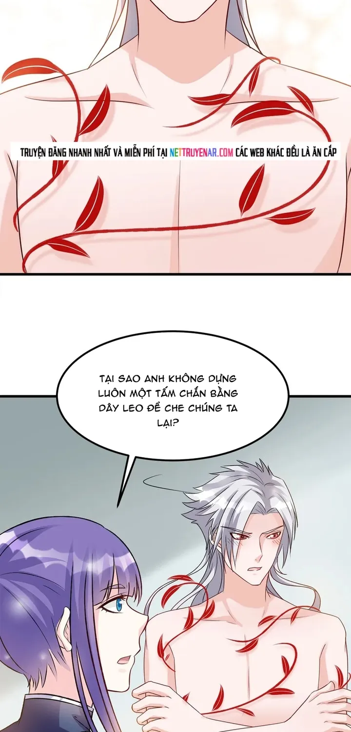 Chapter 114