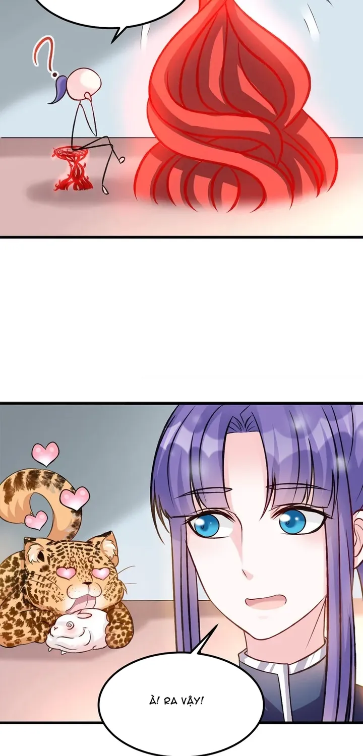 Chapter 114