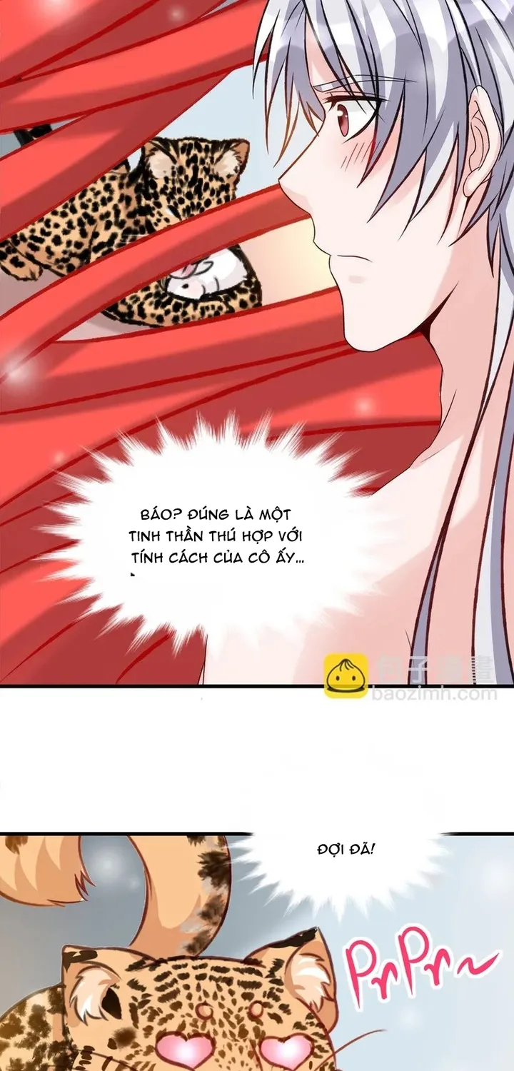 Chapter 114