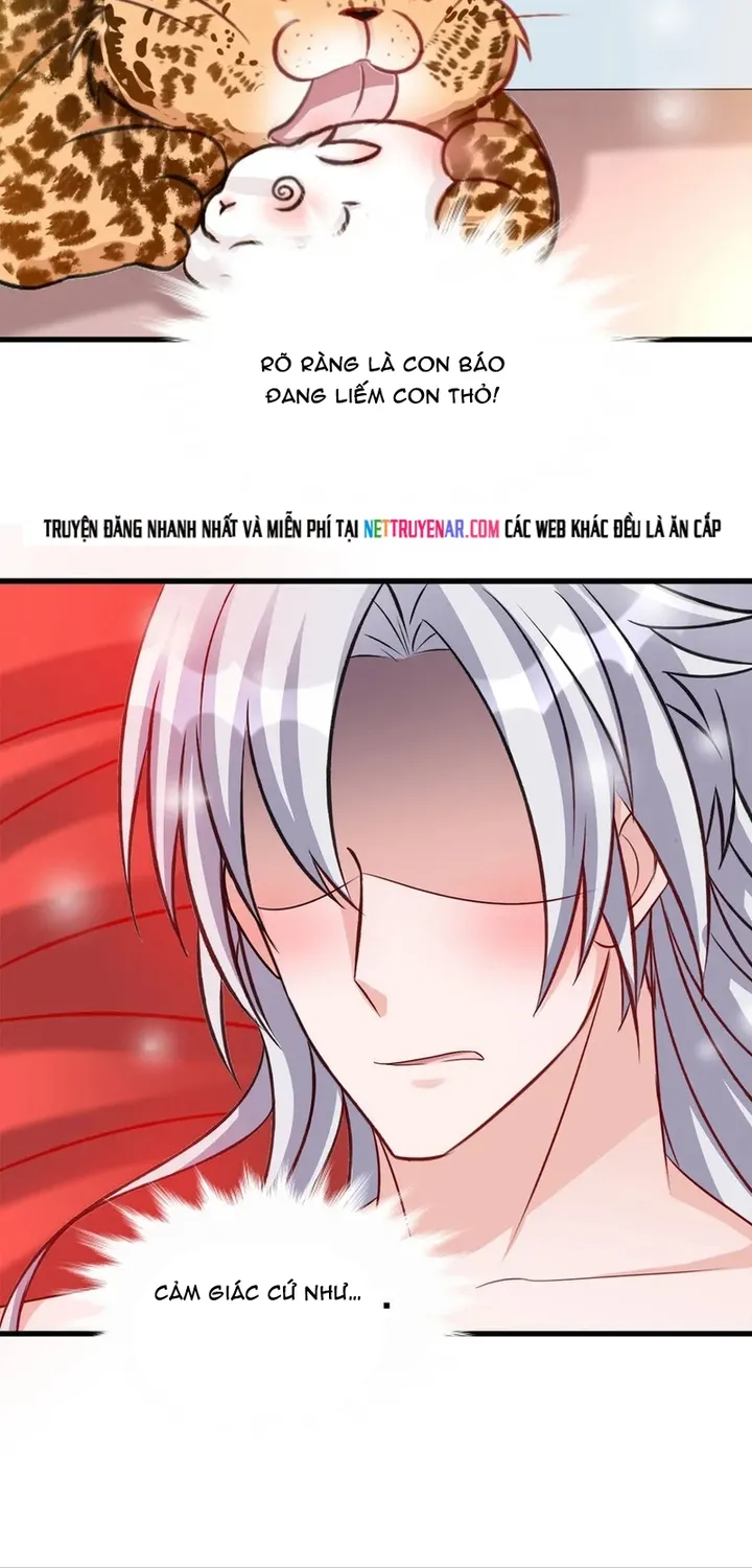 Chapter 114