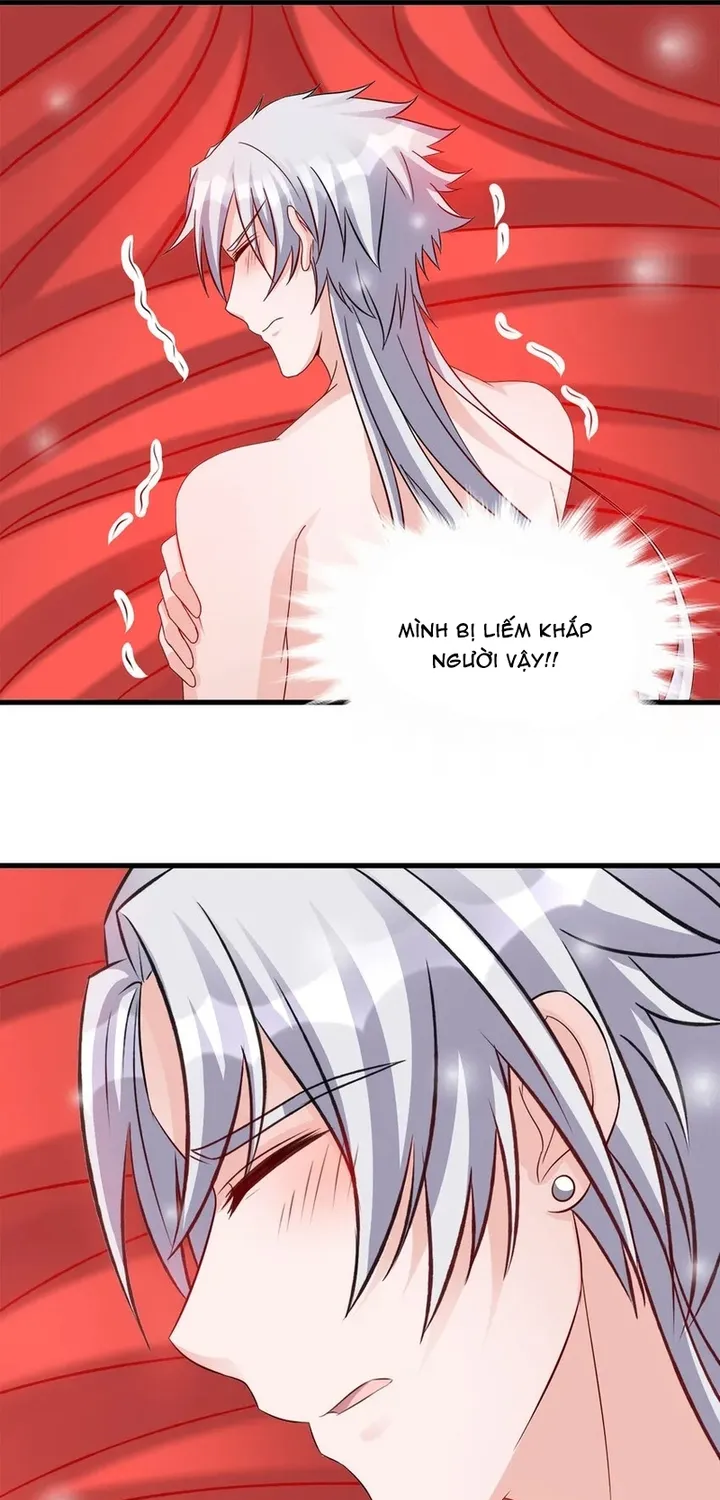 Chapter 114