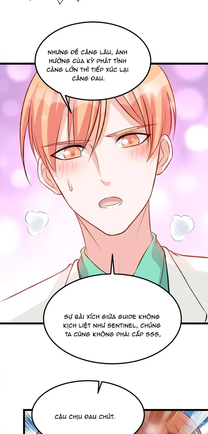 Chapter 114