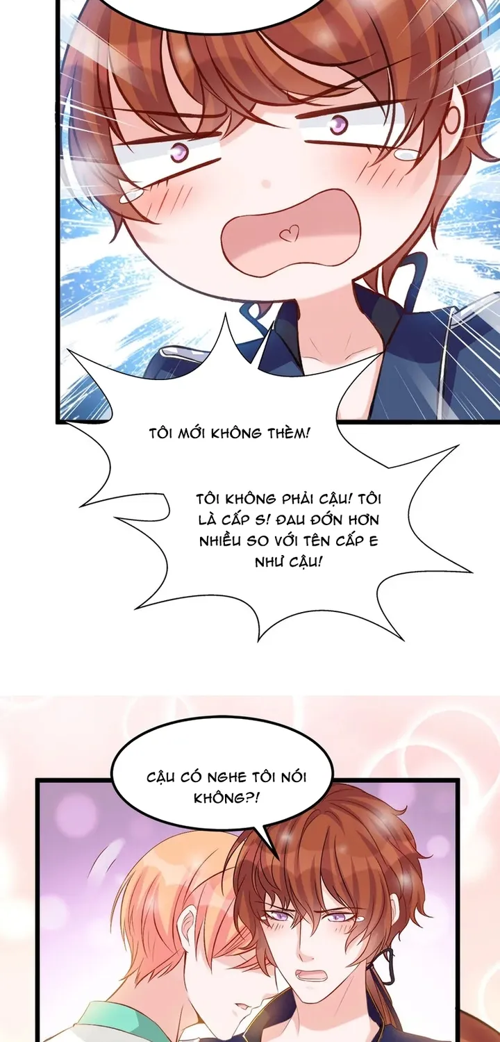 Chapter 114