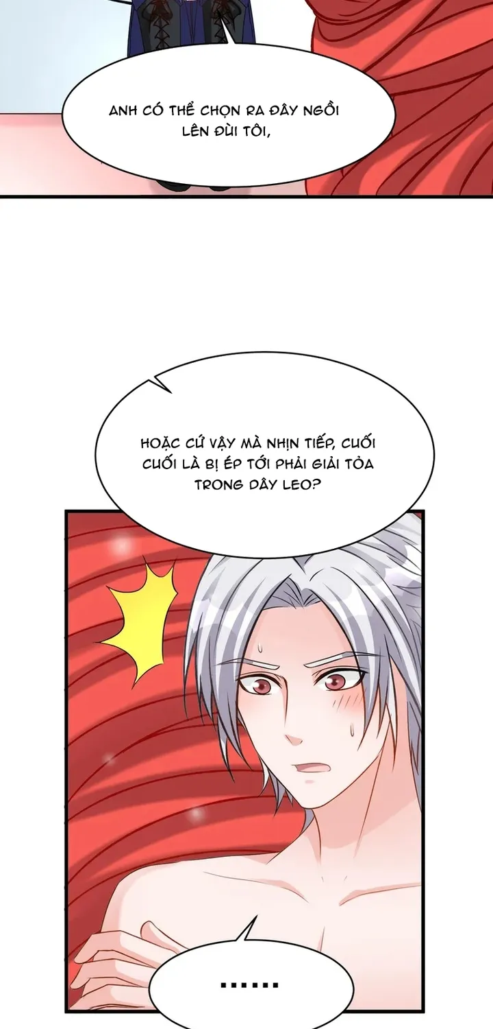 Chapter 115