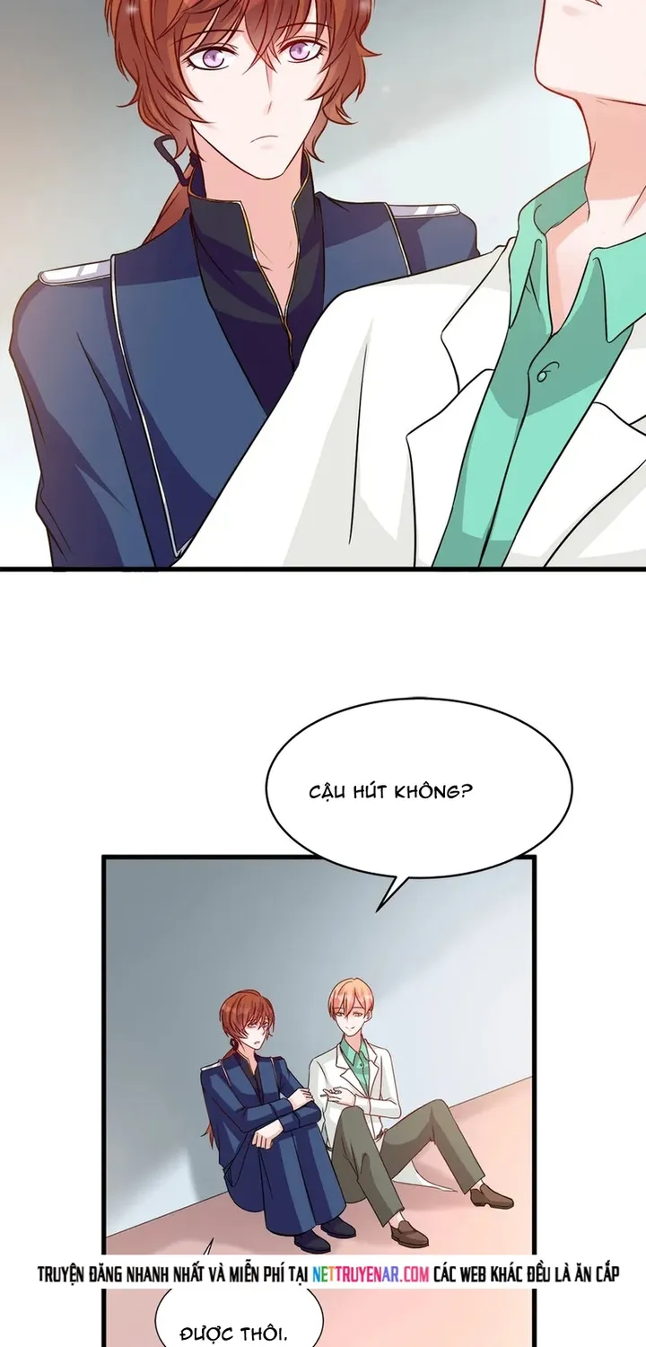 Chapter 115