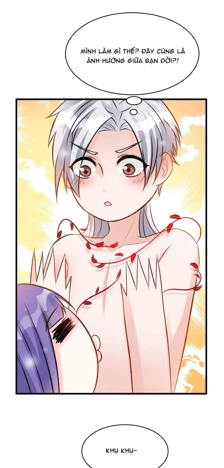 Chapter 116