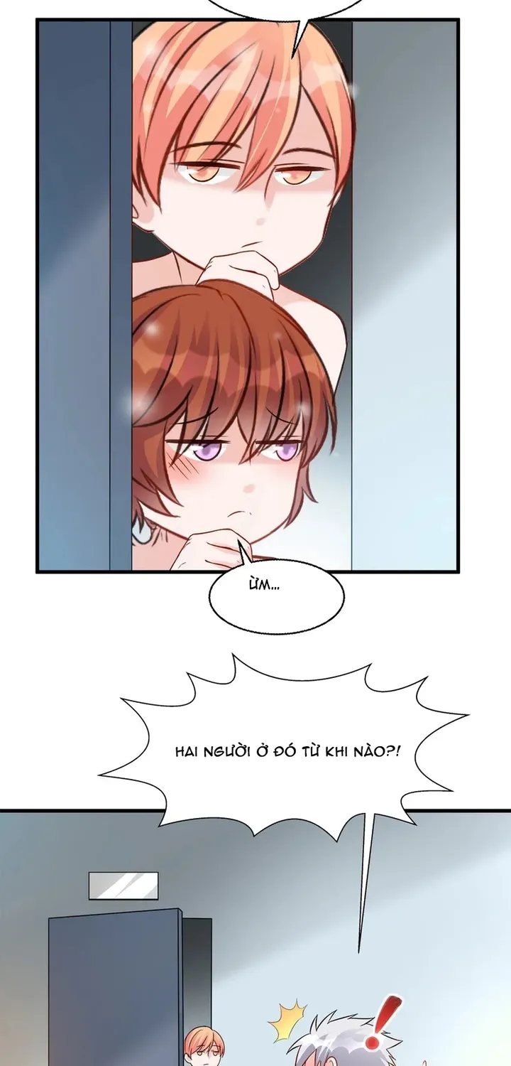 Chapter 116