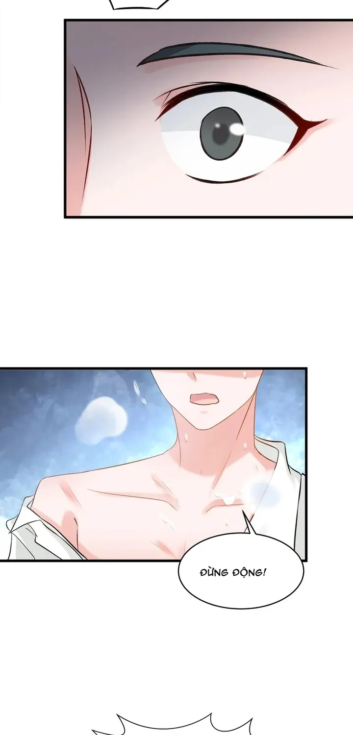 Chapter 116