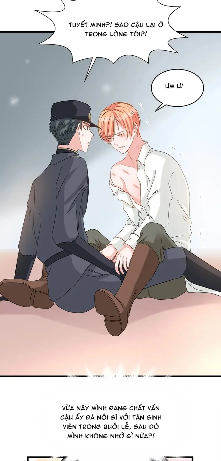 Chapter 116