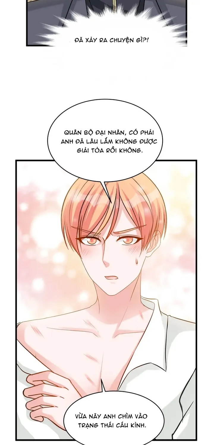 Chapter 116