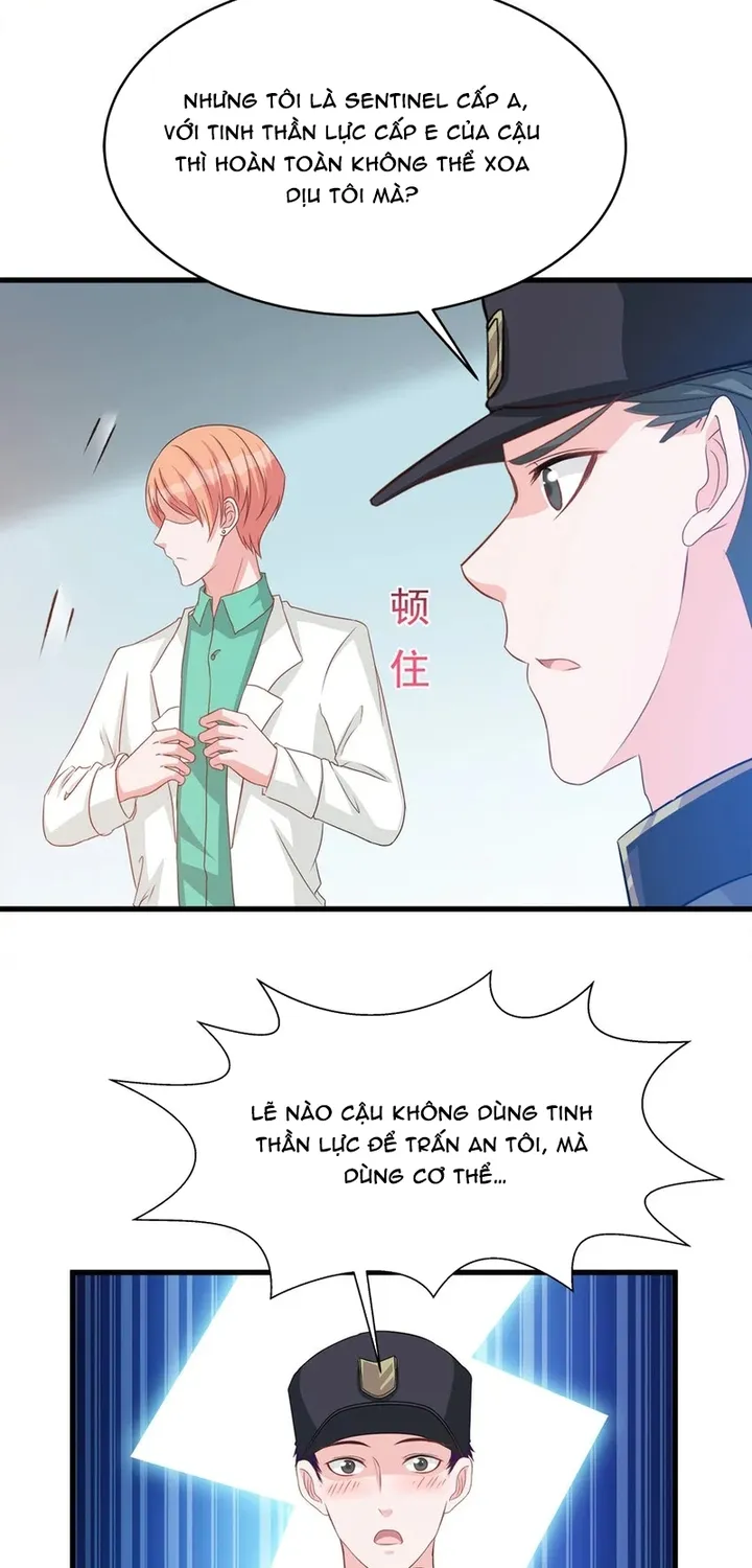 Chapter 116