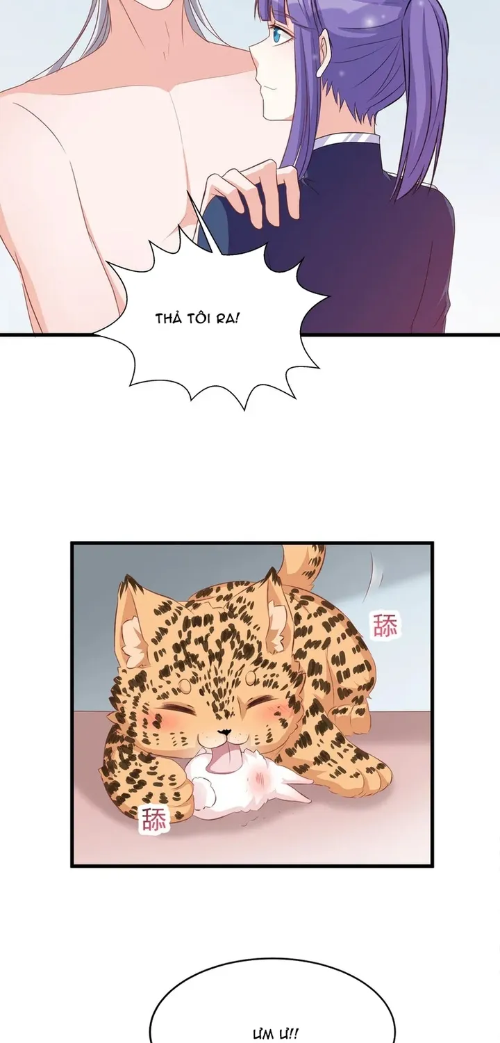 Chapter 116