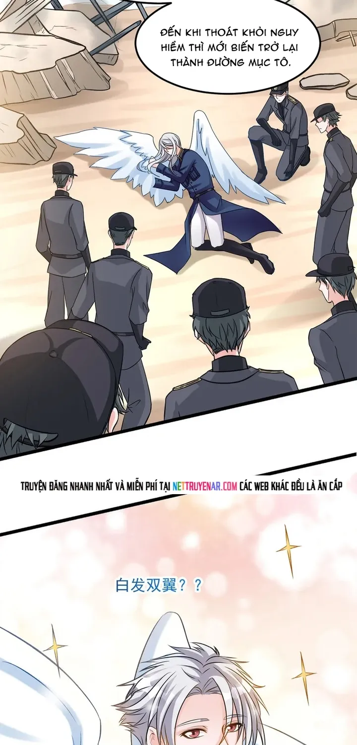 Chapter 117