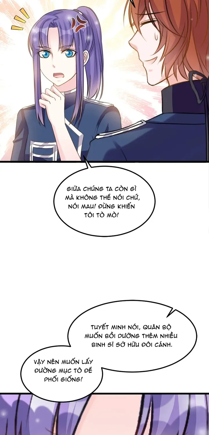 Chapter 117