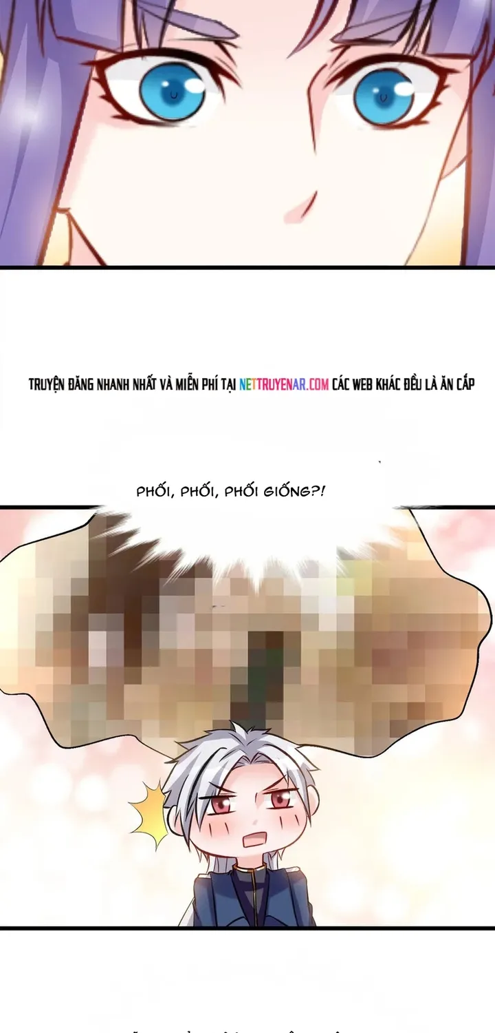 Chapter 117