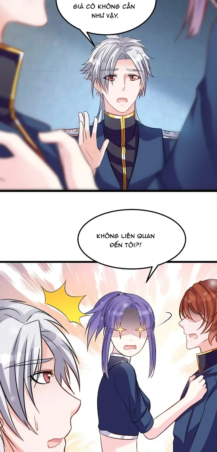 Chapter 117