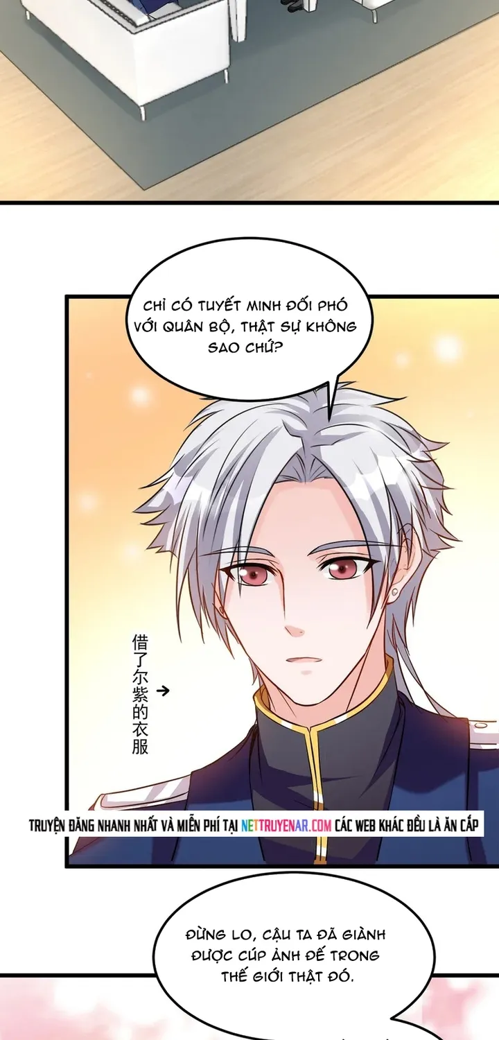 Chapter 117
