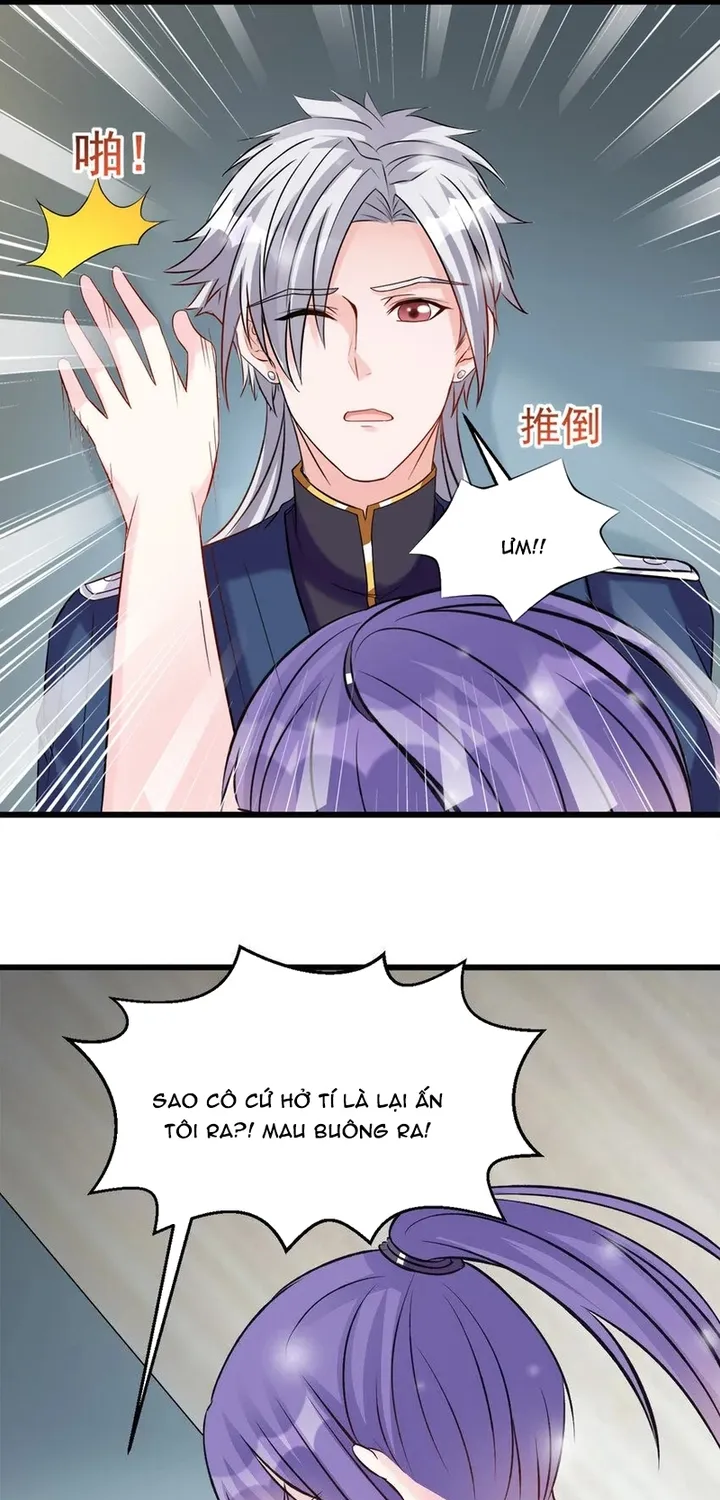 Chapter 117