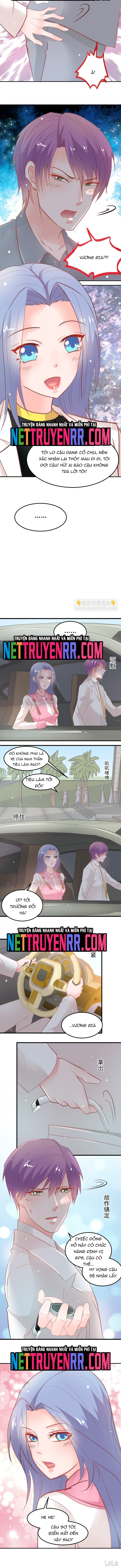 Chapter 19