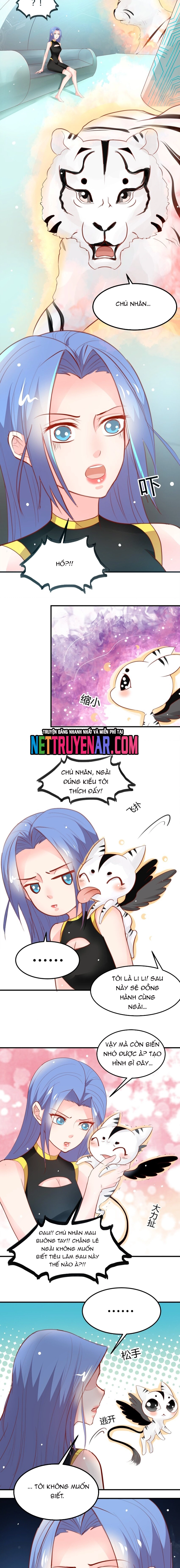 Chapter 25