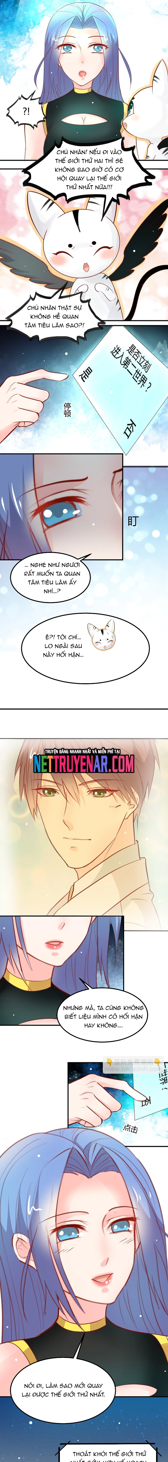 Chapter 25