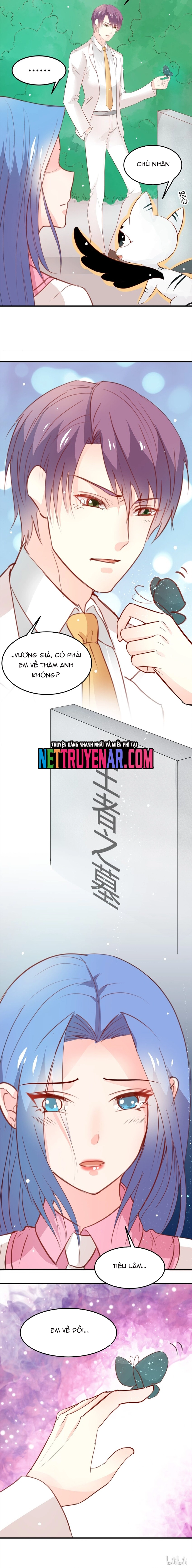 Chapter 25
