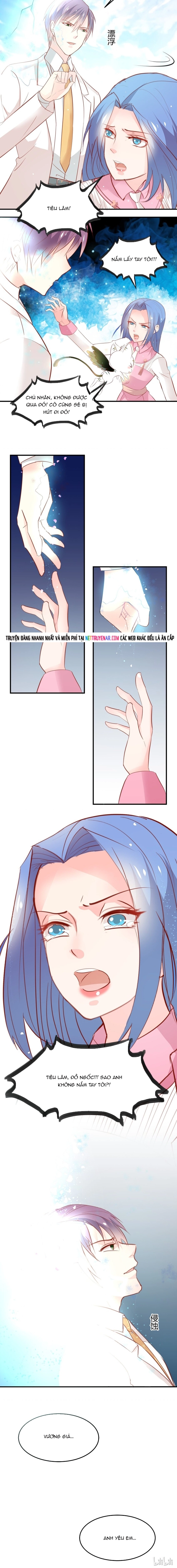 Chapter 26