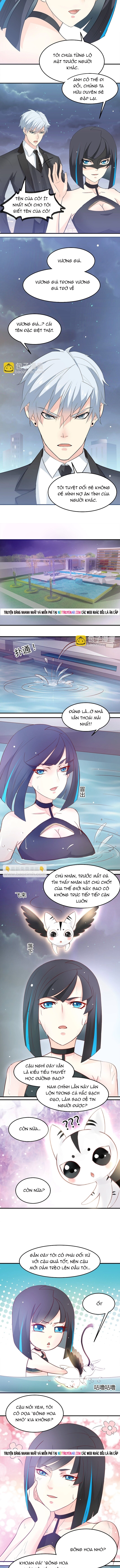 Chapter 28