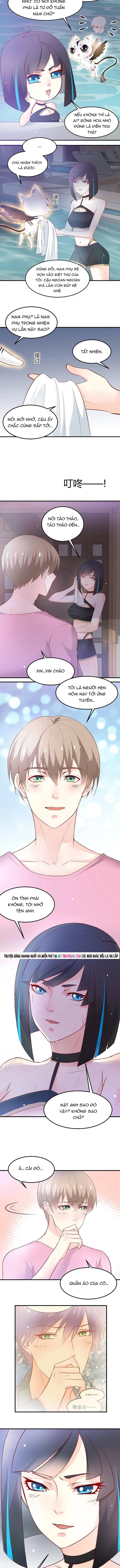 Chapter 28
