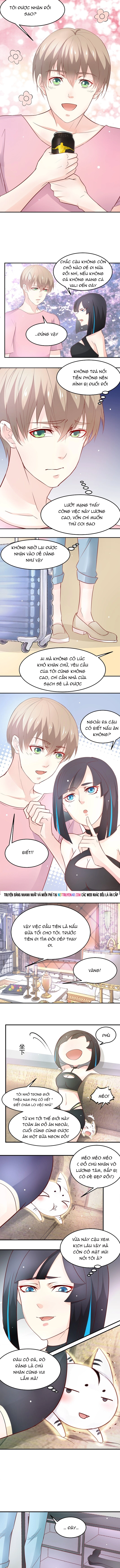 Chapter 29