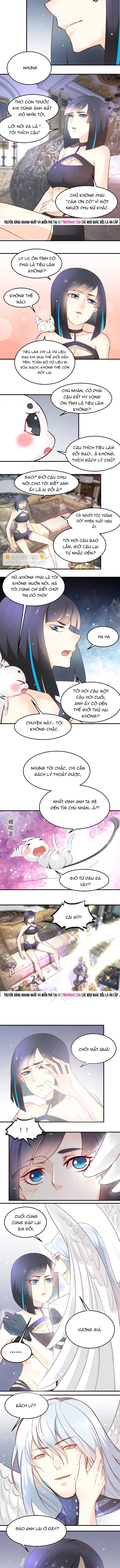 Chapter 33