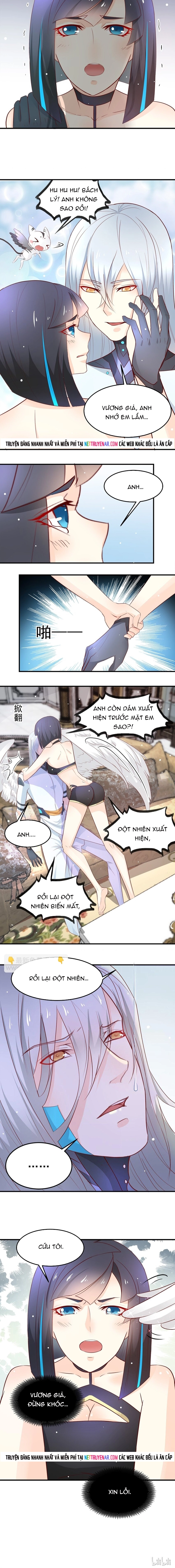 Chapter 33