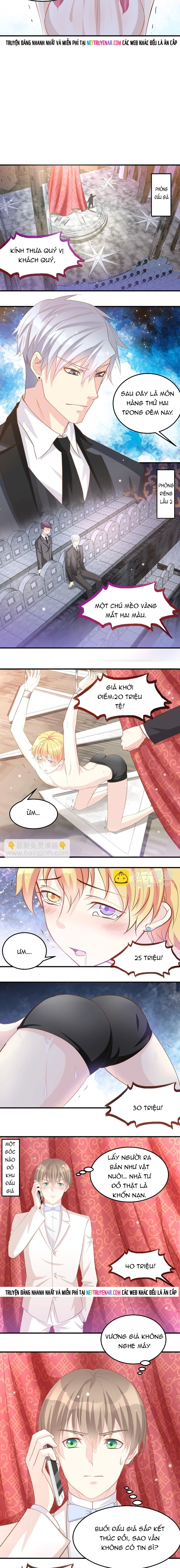 Chapter 38