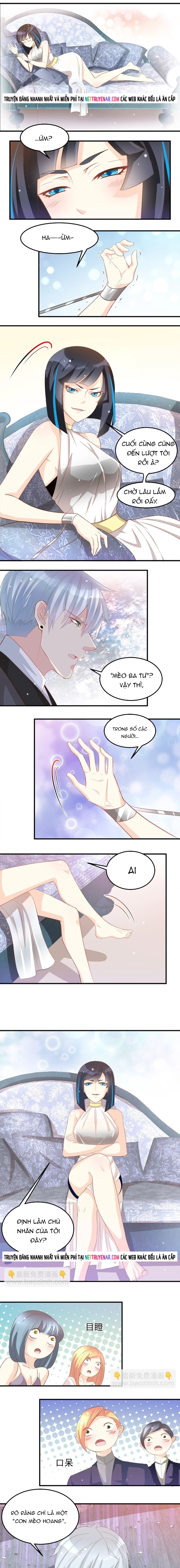 Chapter 39