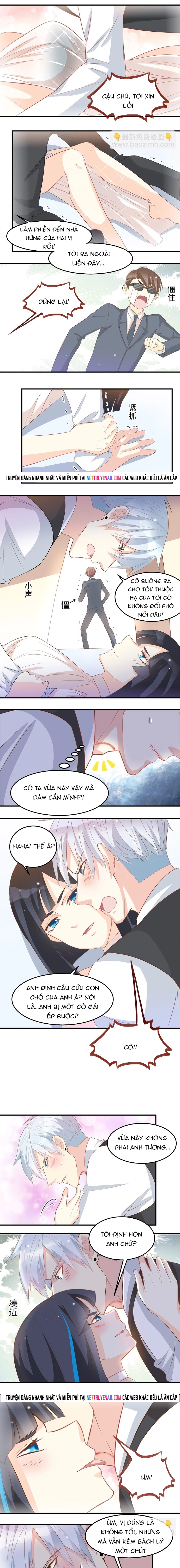 Chapter 41