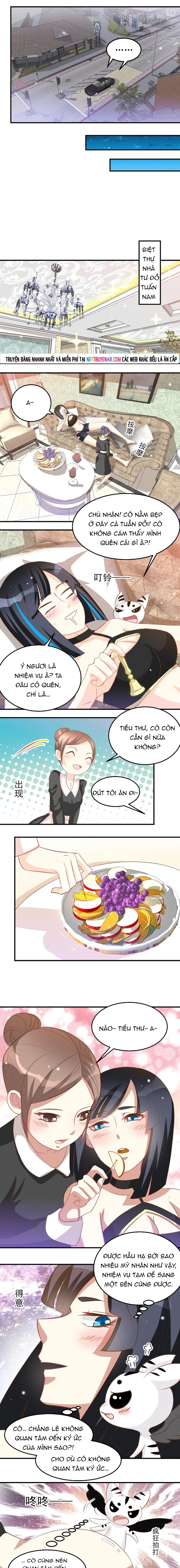 Chapter 42