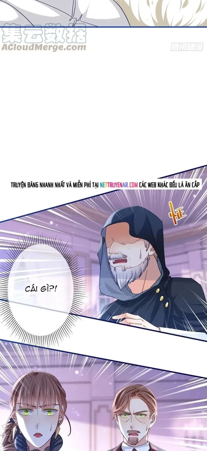 Chapter 101