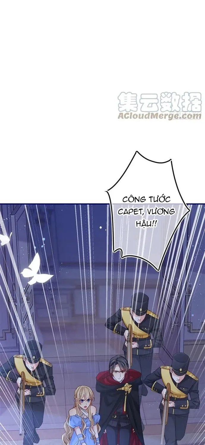 Chapter 101