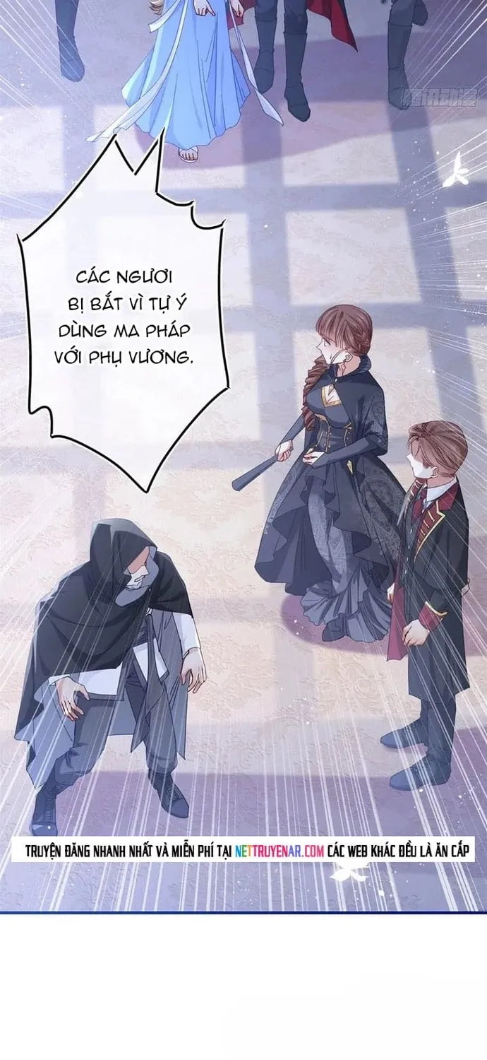 Chapter 101