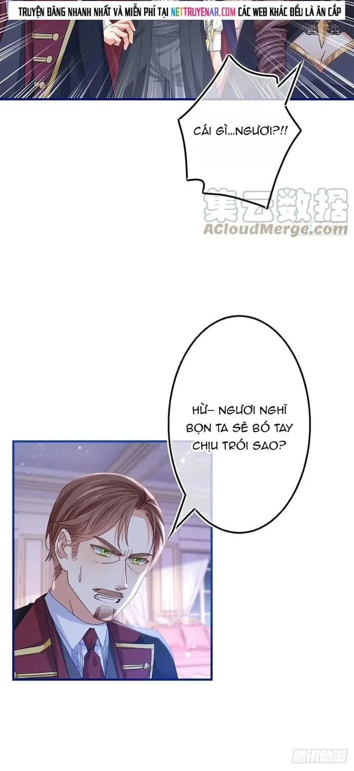 Chapter 101