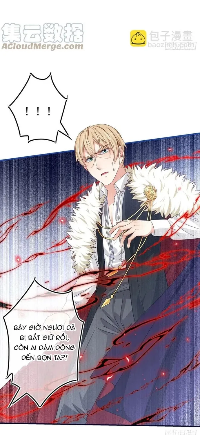 Chapter 101