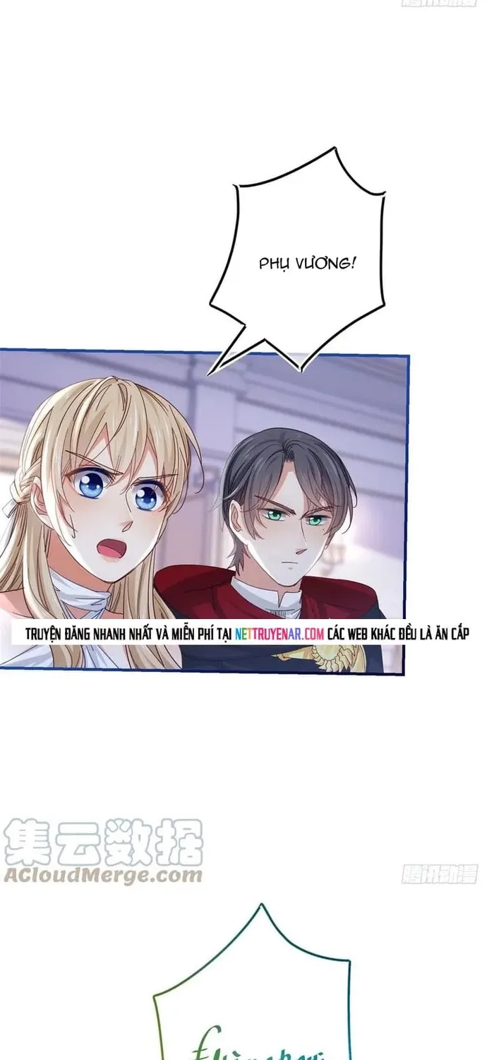 Chapter 101