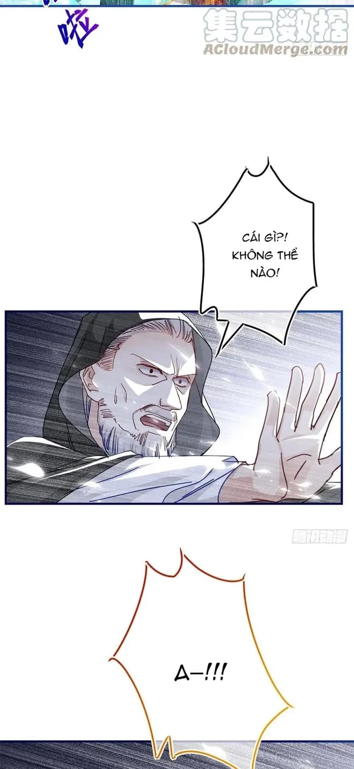 Chapter 101