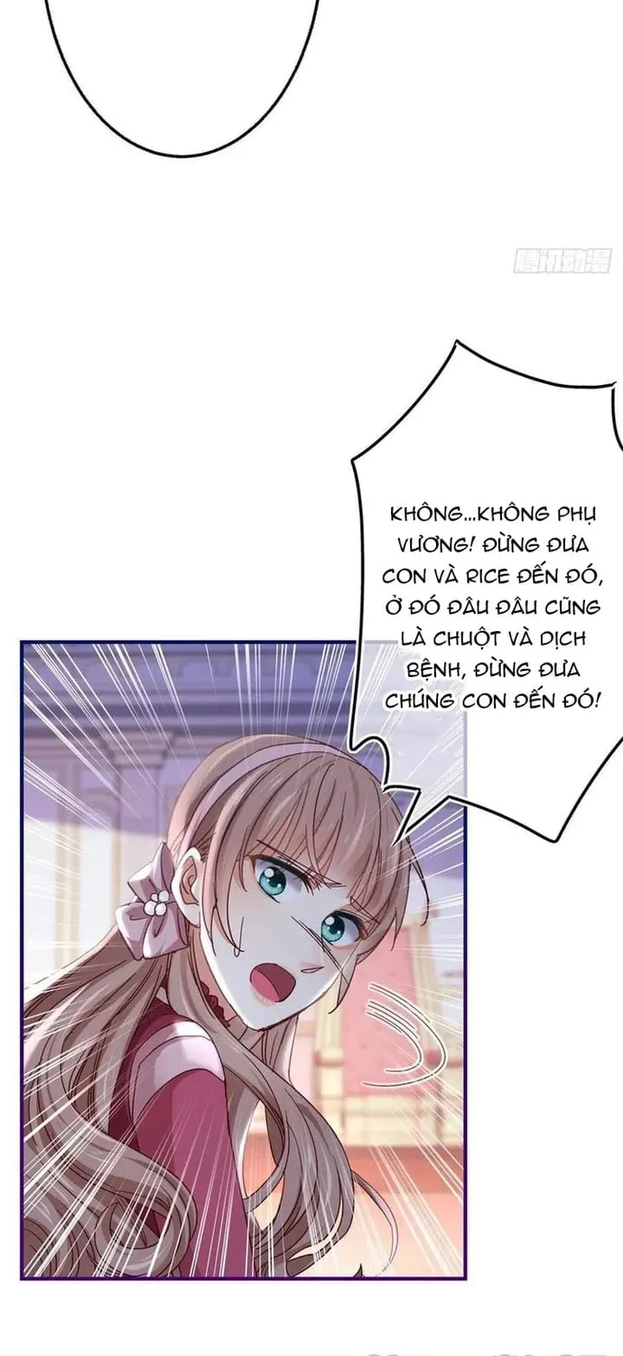 Chapter 102