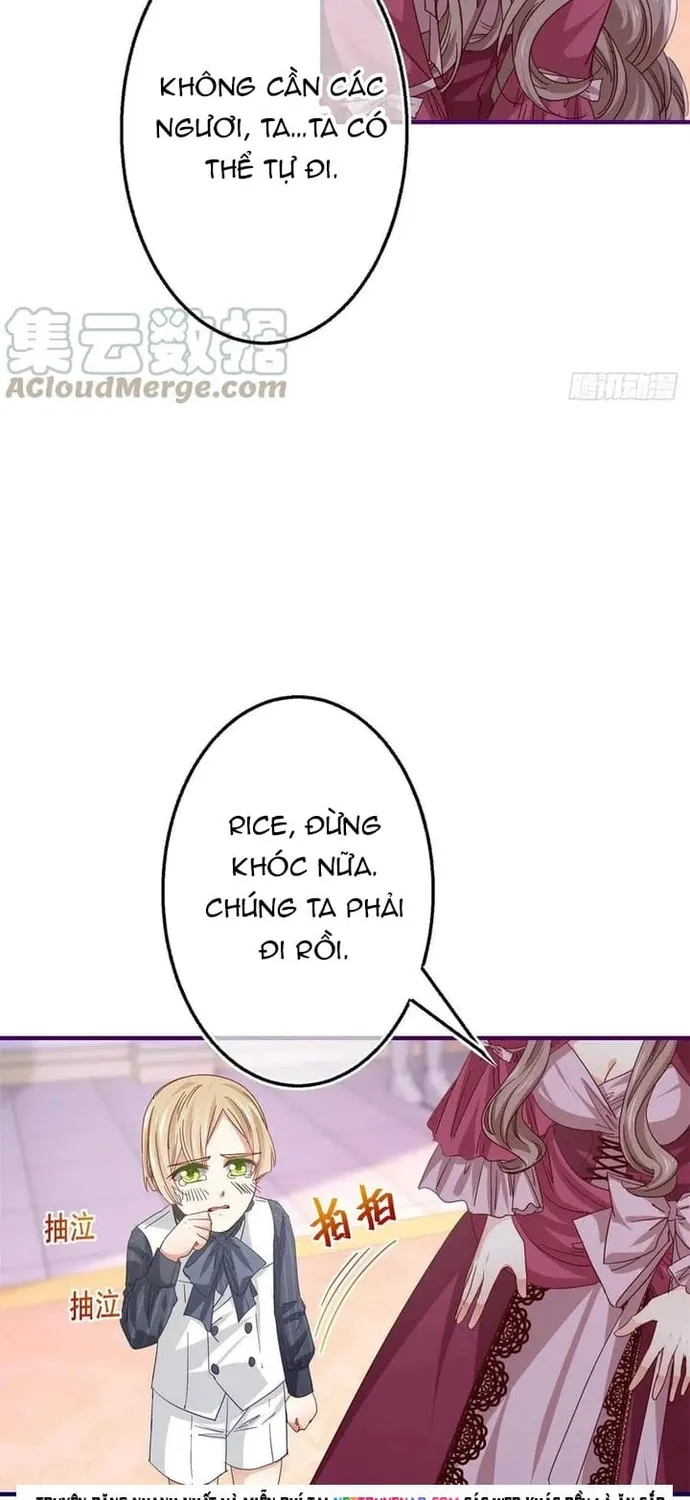 Chapter 102