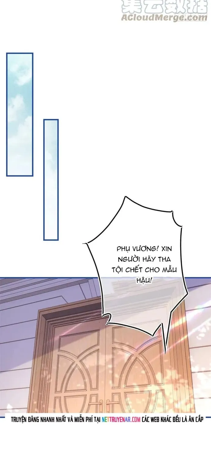 Chapter 102